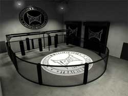 tapoutgym-31