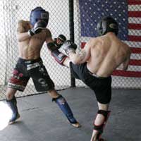 ferocitymma